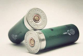 ANDA SUDAH PERNAH MELIHAT A SHOTGUN SHELL SEPERTI INI