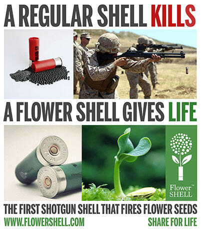 ANDA SUDAH PERNAH MELIHAT A SHOTGUN SHELL SEPERTI INI