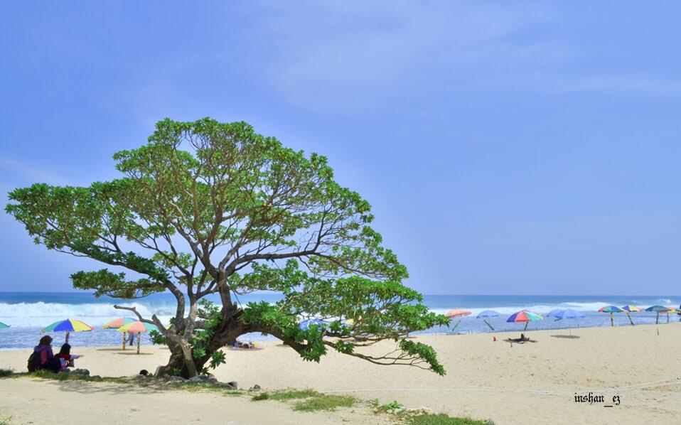 Pantai-pantai perawan yang cantik di Yogyakarta