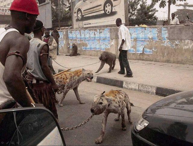 Foto Terkonyol Yang Terjadi Hanya di Afrika