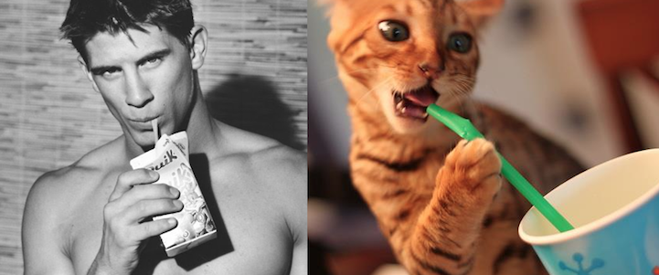 Lucu, Foto Sexy Kolaborasi Pria Dan Kucing 