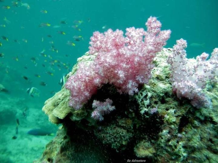 Destinasi wisata yang harus dikunjungin bila ke Sumatera utara