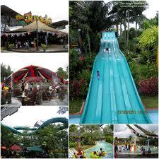 Paket The Jungle
