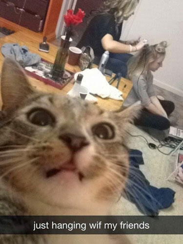 Foto - Foto Selfie HEWAN Yang Konyol Gan 