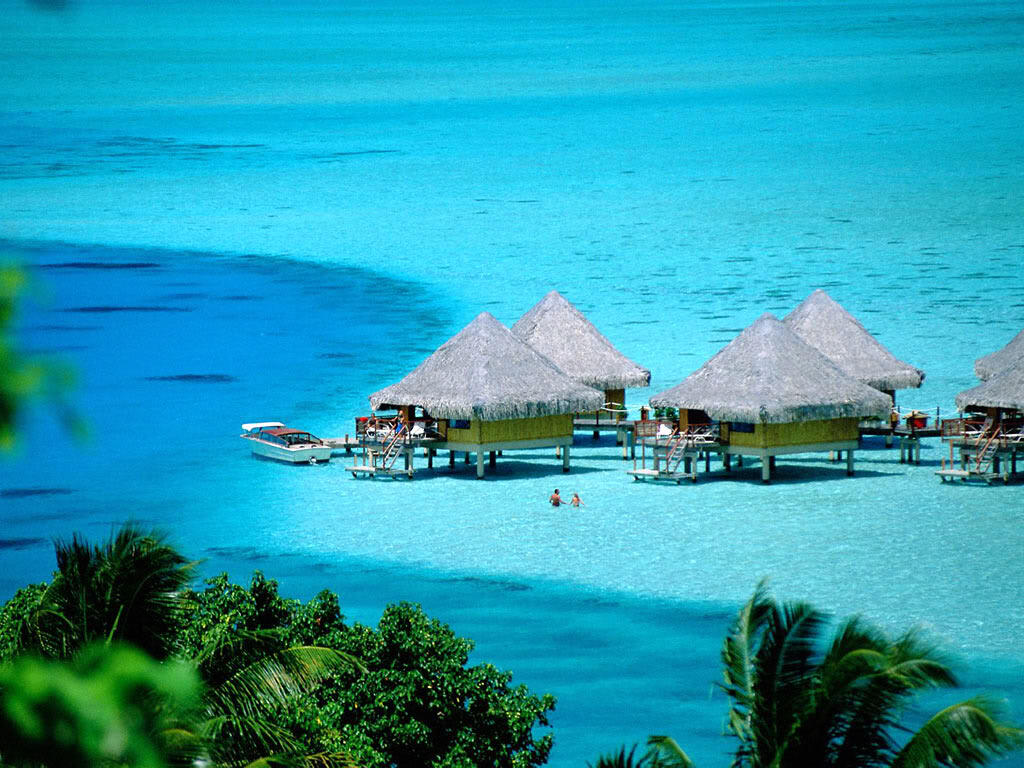 Tour Ke Raja Ampat Papua