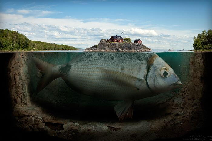 Manipulasi Photoshop yang Mengagumkan