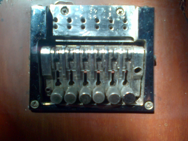 Ada yang tau tremolo gitar ini ga???