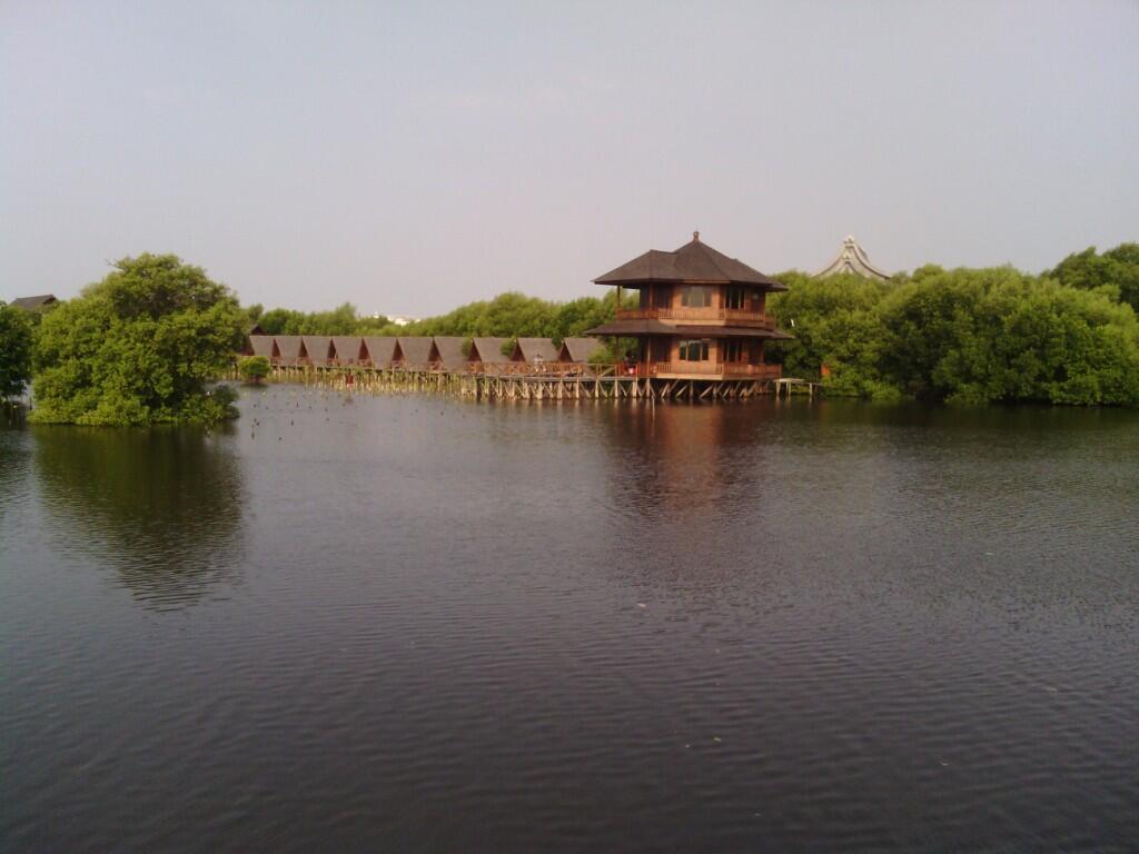 Ternyata Ada Hutan Mangrove Cantik di Jakarta