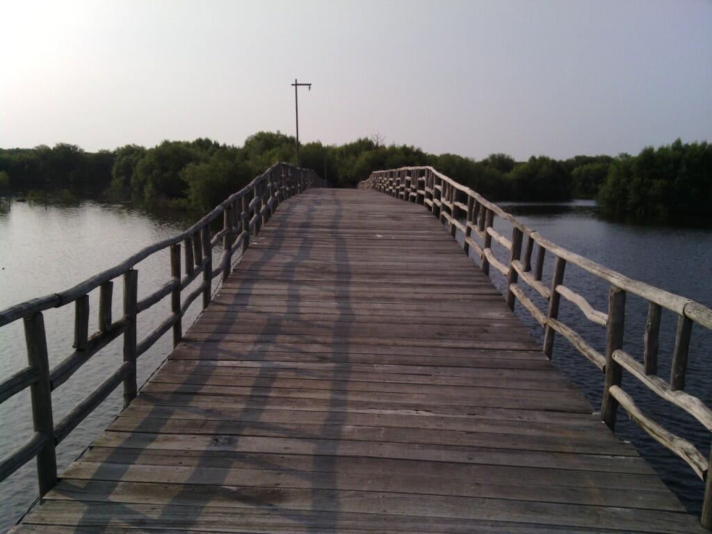 Ternyata Ada Hutan Mangrove Cantik di Jakarta