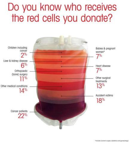 ♥♥♥&#91;SHARE&#93; Agan tau AFERESIS? Donor darah yang ga biasa!! ♥♥♥