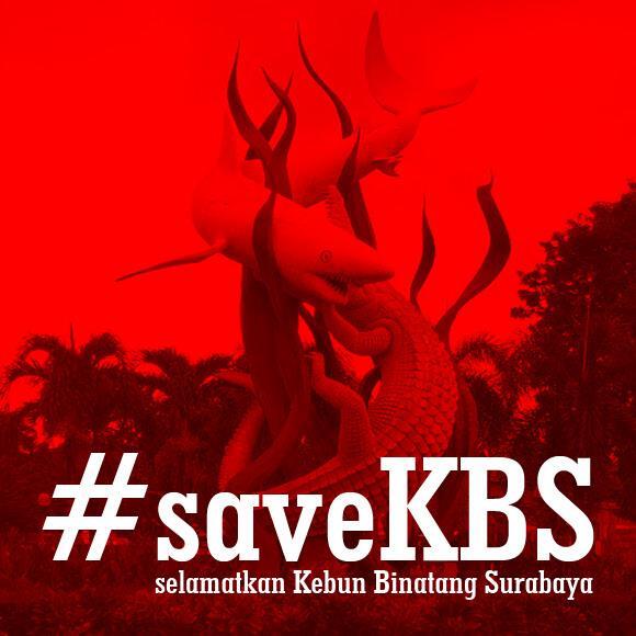 Anak Kambing Gunung di KBS Mati