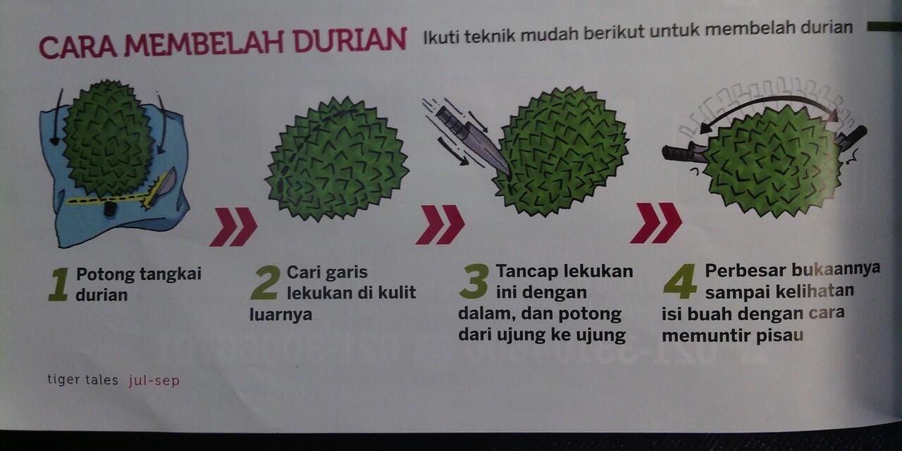 Tips Memilih Durian &amp; Membuka Durian &#91;++ Pic&#93; &gt;&gt; Pencinta Durian Masuukkk....