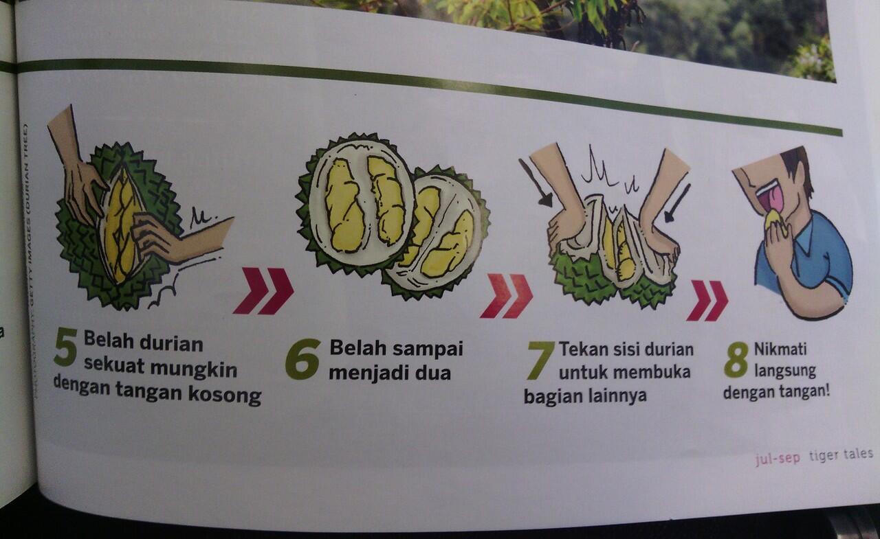 Tips Memilih Durian &amp; Membuka Durian &#91;++ Pic&#93; &gt;&gt; Pencinta Durian Masuukkk....