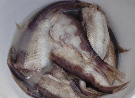 8 Makanan Paling Menjijikan Di Dunia