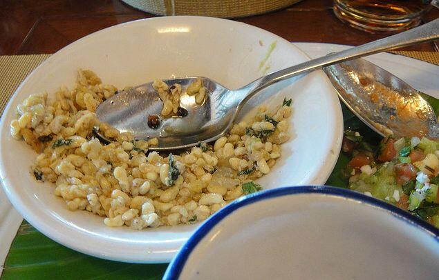 8 Makanan Paling Menjijikan Di Dunia