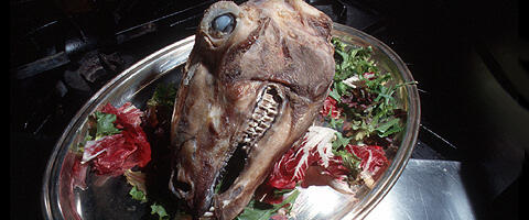 8 Makanan Paling Menjijikan Di Dunia