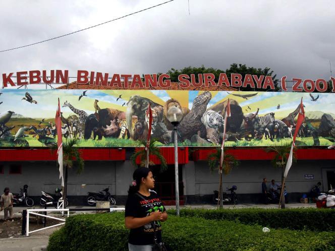 Media Inggris: Kebun Binatang Surabaya Terkejam di Dunia