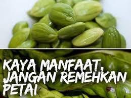 Siapa yang suka PETE, jangan malu2 gan. banyak MANFAATNYA