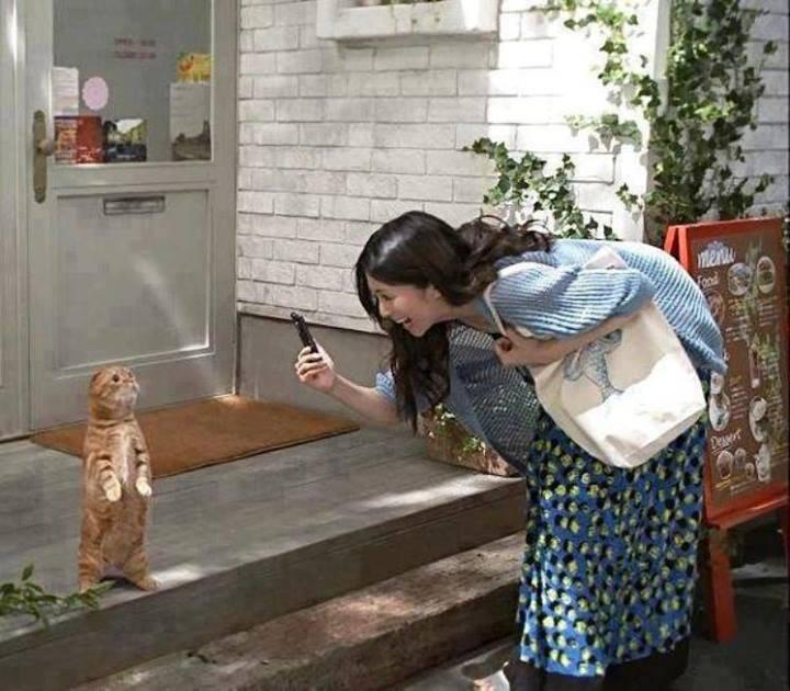 Tingkah lucu hewan2 ini bikin ketawa GAN 