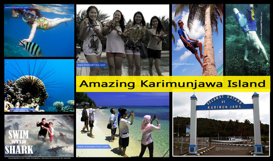 DAFTAR GRATIS Trip ke Karimunjawa di @KompakTour l Daftar 5 orang dapat DISKON !!