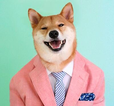 &#91;Woow&#93; Model Anjing ini Menjadi Icon Fashion Pria Gan &#91;+Pic&#93;