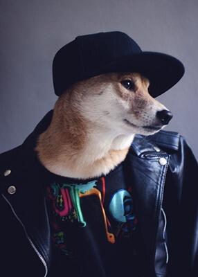 &#91;Woow&#93; Model Anjing ini Menjadi Icon Fashion Pria Gan &#91;+Pic&#93;