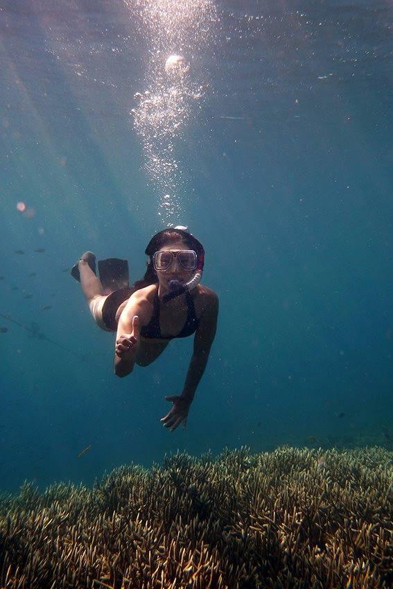 Program Latihan Snorkeling & Nyelam Bebas di Laut Krakatau