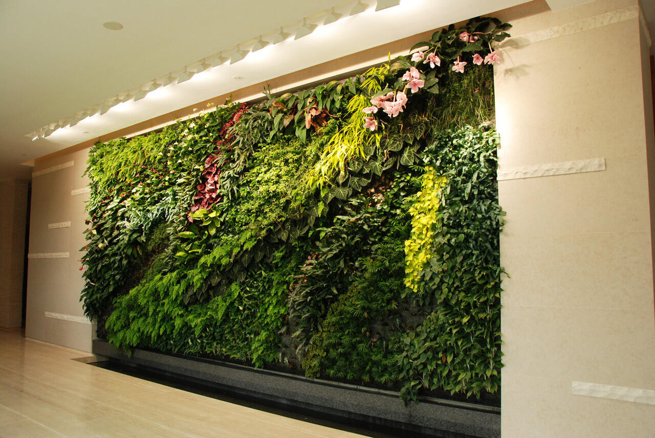 Kumpulan photo Vertical Garden