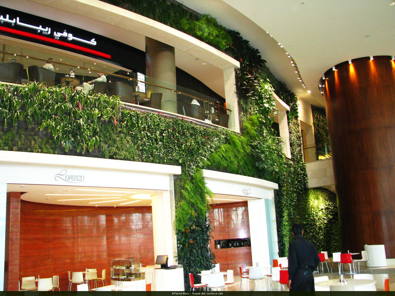 Kumpulan photo Vertical Garden