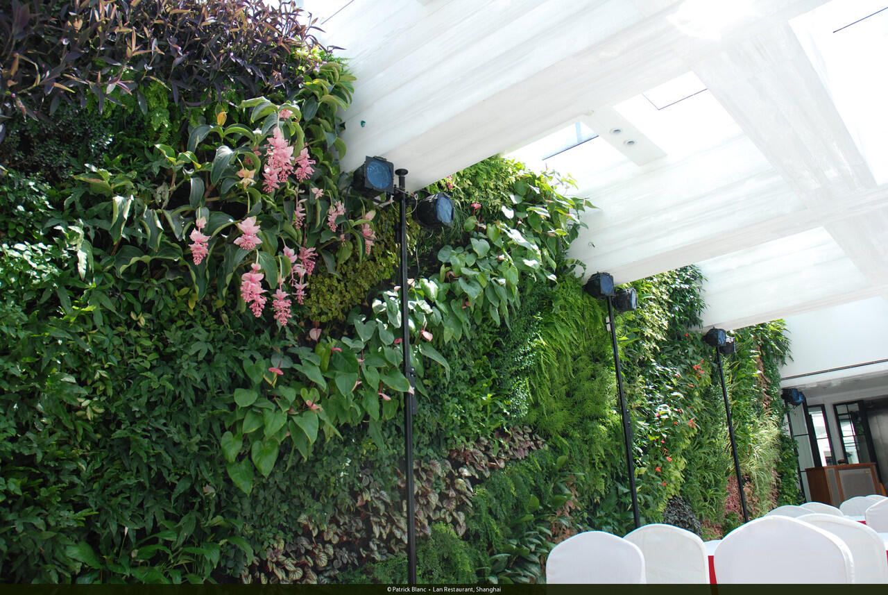 Kumpulan photo Vertical Garden