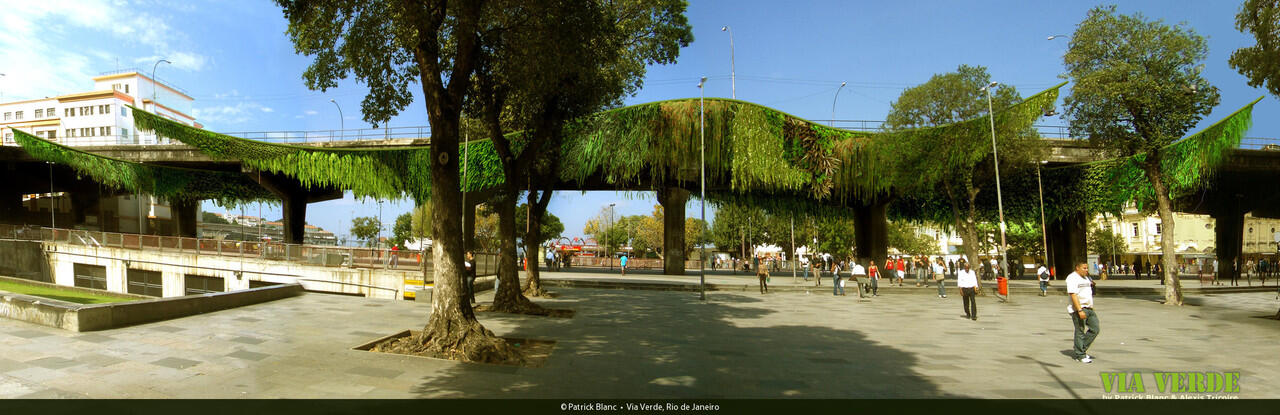 Kumpulan photo Vertical Garden