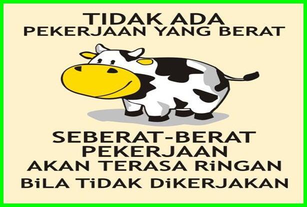 Koleksi Kata2 yg Bikin ane Ngakak