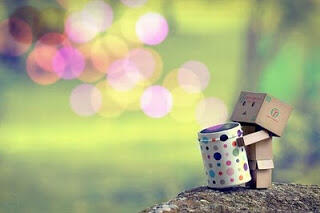Asal Mula lahirnya Danbo Boneka Kardus Unik