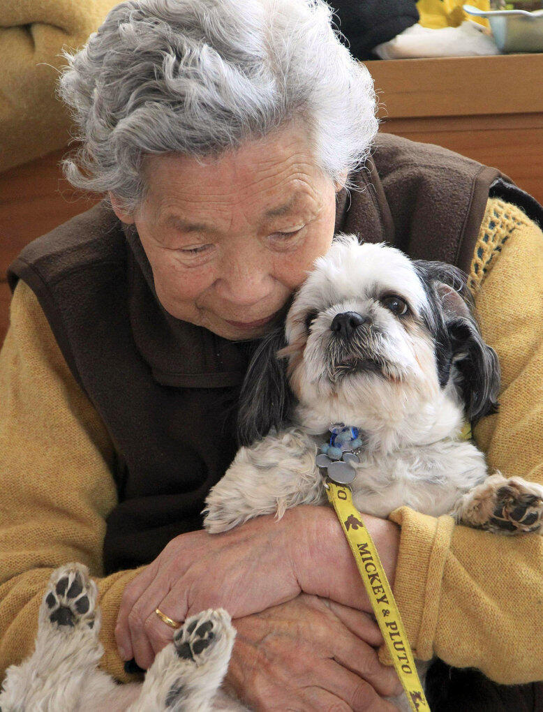 Kisah Para Anjing Terkenal di Jepang