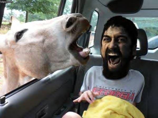 (gif) this is Sapurataaaaaa