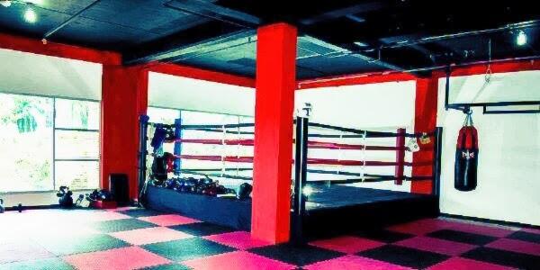 Zealot Muaythai Kelapa Gading