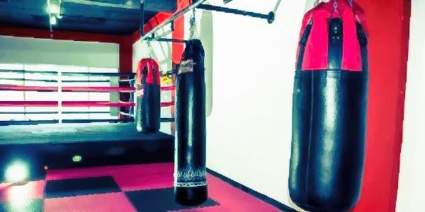 Zealot Muaythai Kelapa Gading