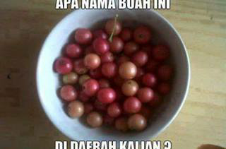 APA NAMA BUAH INI DI DAERAH AGAN??