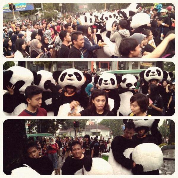 Ada panda mob di Bandung ! ! #bumipanda #PandaMob