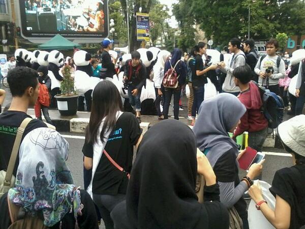 Ada panda mob di Bandung ! ! #bumipanda #PandaMob