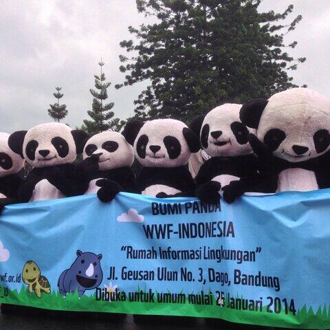 Ada panda mob di Bandung ! ! #bumipanda #PandaMob