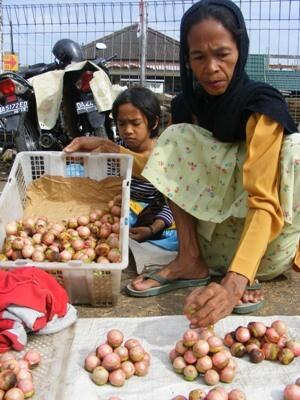 BUAH KALANGKALA DARI KALIMANTAN