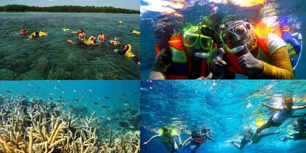 Tingkatkan kemampuan Wisata Domestik, Pulau PAri, Kepulauan Seribu