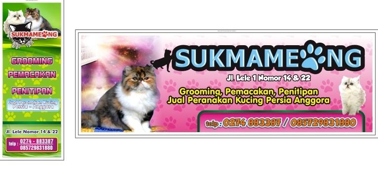 Penitipan dan Grooming Kucing Antar Jemput Jogja