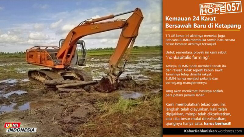 Dahlan Iskan Dan Terobosan
Mewujudkan Swasembada Beras