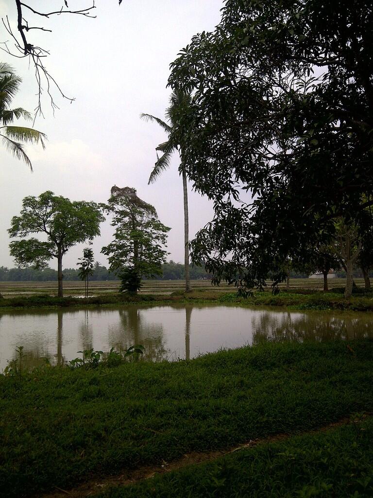 JUAL TANAH 3765m, KARAWANG, PINGGIR JALAN