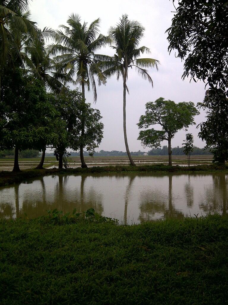 JUAL TANAH 3765m, KARAWANG, PINGGIR JALAN