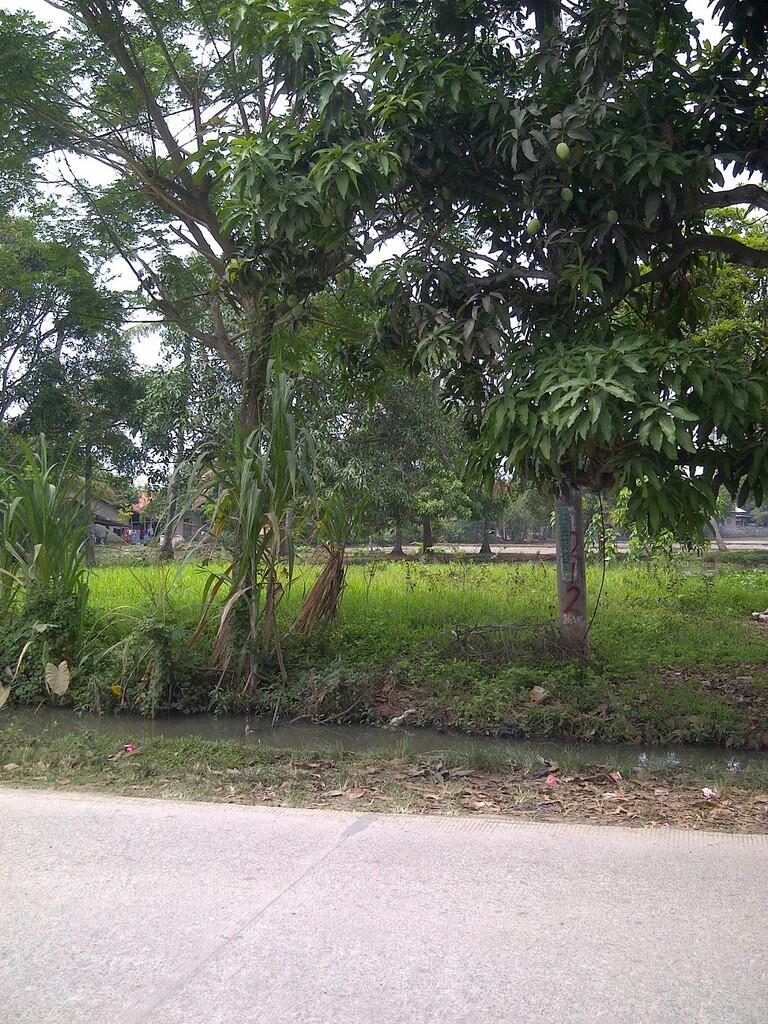 JUAL TANAH 3765m, KARAWANG, PINGGIR JALAN