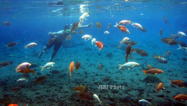 Gak Perlu ke Bunaken, Snorkeling Umbul Ponggok Klaten Menggoda