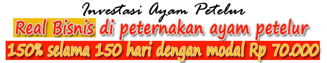 INVESTASI AYAM TELUR BISNIS NYATA PEMBAGIAN HASIL PEHARI 
